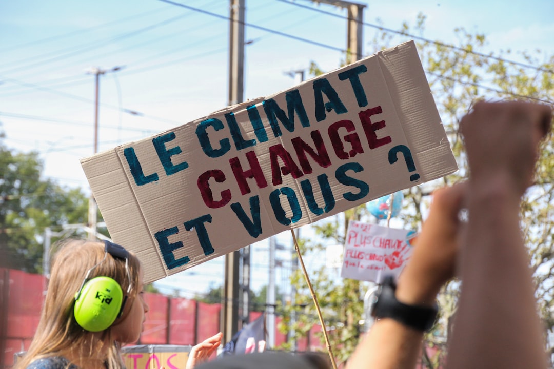 Graphique illustrant l’impact de l’IA sur le marché de l’emploi en 2024